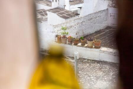 Vista Mozzafiato Sul Mare, Suite Di Lusso - Ostuni Exterior photo