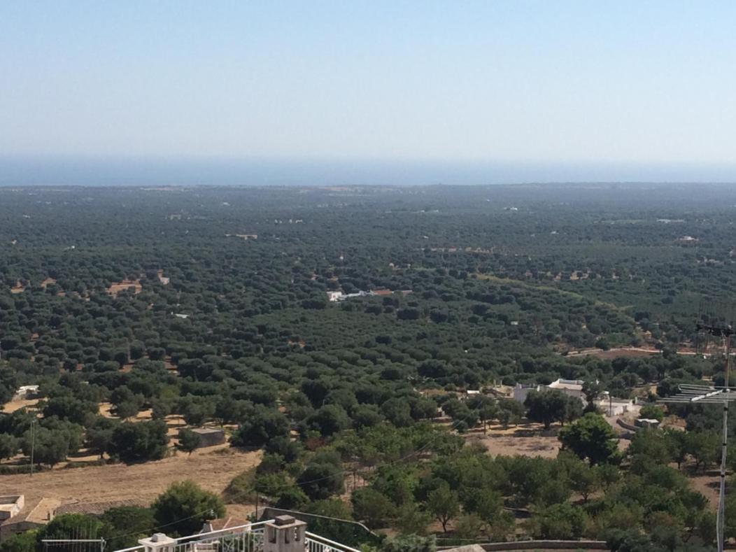 Vista Mozzafiato Sul Mare, Suite Di Lusso - Ostuni Exterior photo